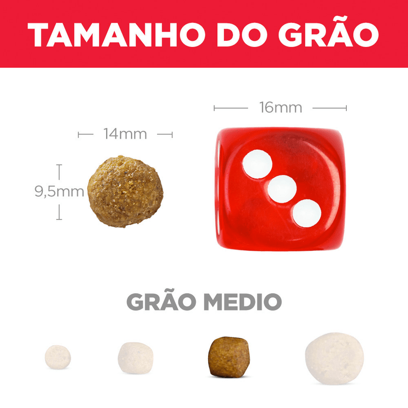 52742020419---foto-3