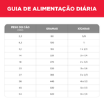 52742020419---foto-5