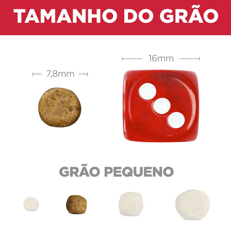 052742022130---foto-2