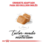 7908248302272---foto-2