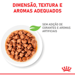 7908248301701---foto-2