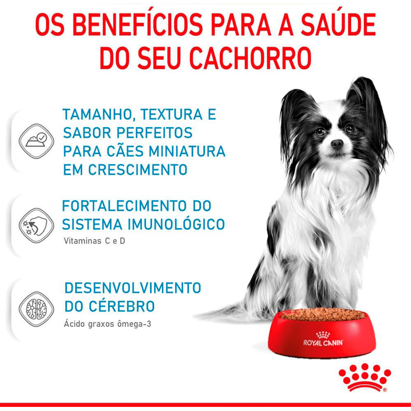 7908248301701---foto-3