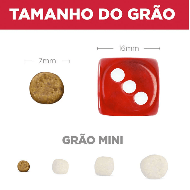 52742909905---foto-3