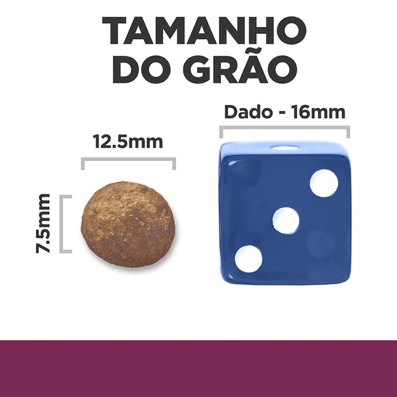052742861906---foto-3