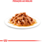7908248301923---foto-2