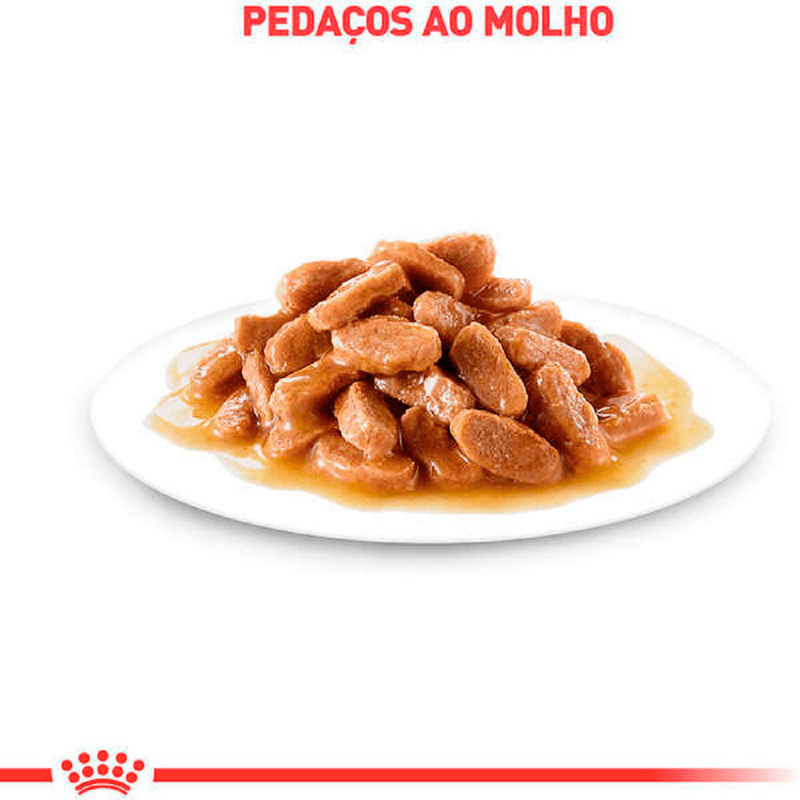 7908248301923---foto-2
