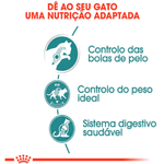 7908248301954---foto-2