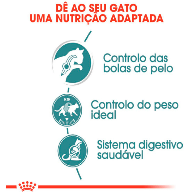 7908248301954---foto-2