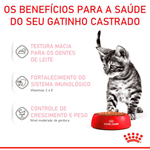 7908248301725---foto-3