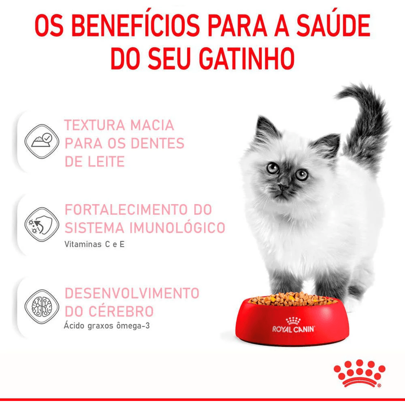 7908248301749---foto-3