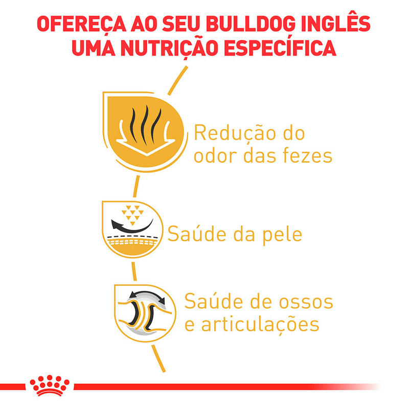 7908248302227---foto-3
