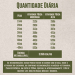 7898256300967---foto-8