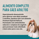 7898256301452---foto---6-