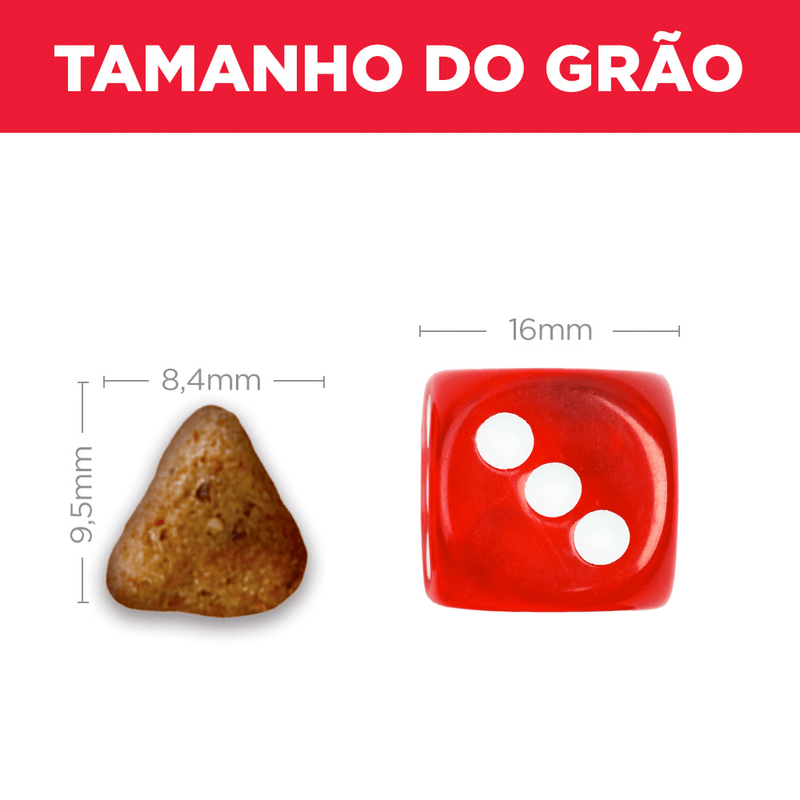 052742553207---foto-5.png