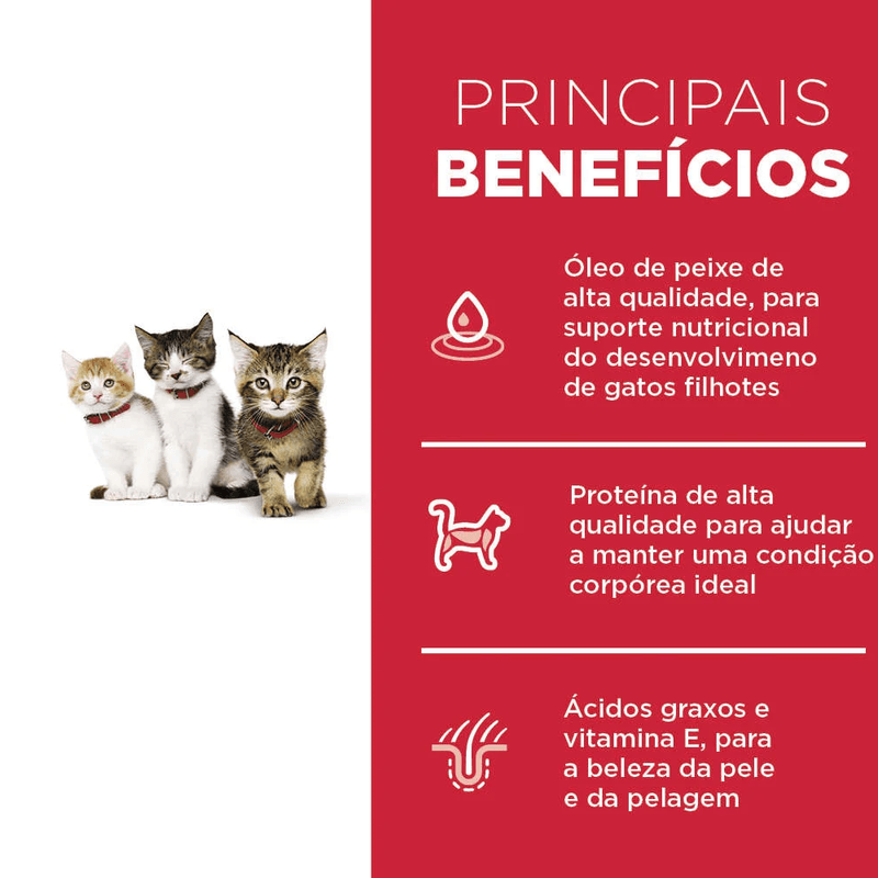 052742939100 - foto 3.png