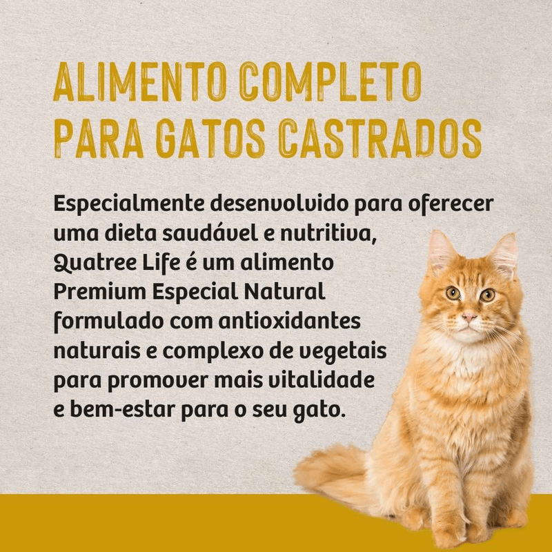 7898256301131 - foto 5.png