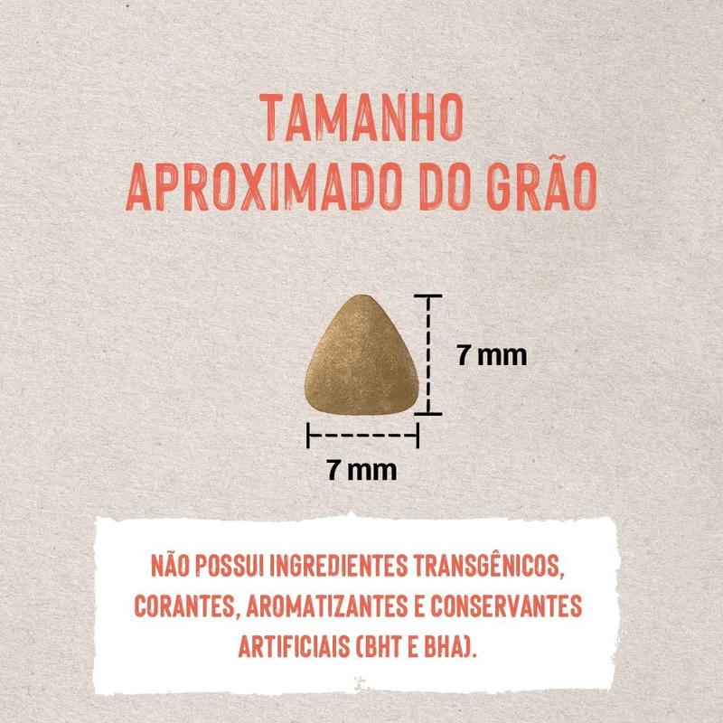 7898256301780- foto 6.png