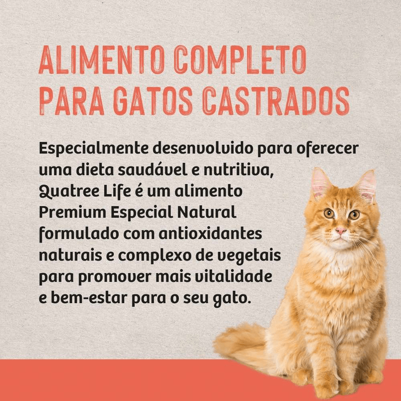 7898256301780- foto 5.png