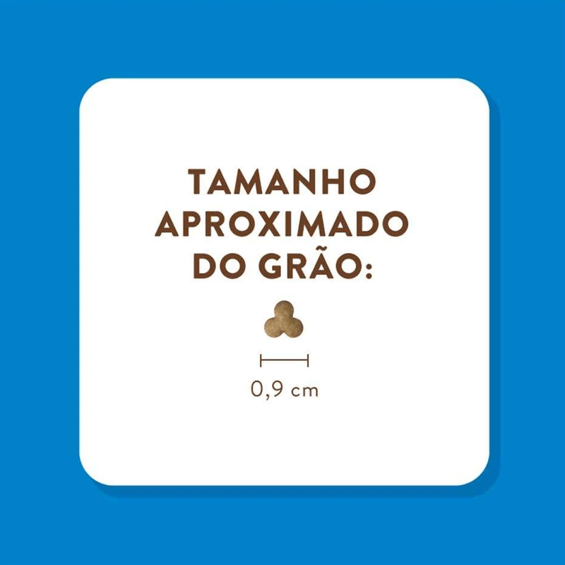 7898256303029 - foto 4.png