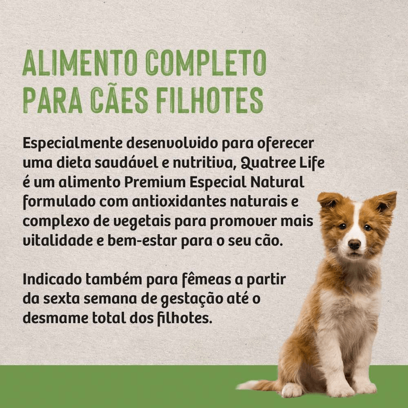 7898256301537 - foto 5.png