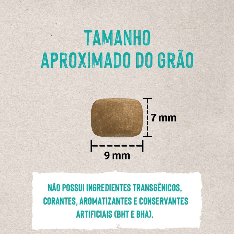 7898256301483 - foto 6.png