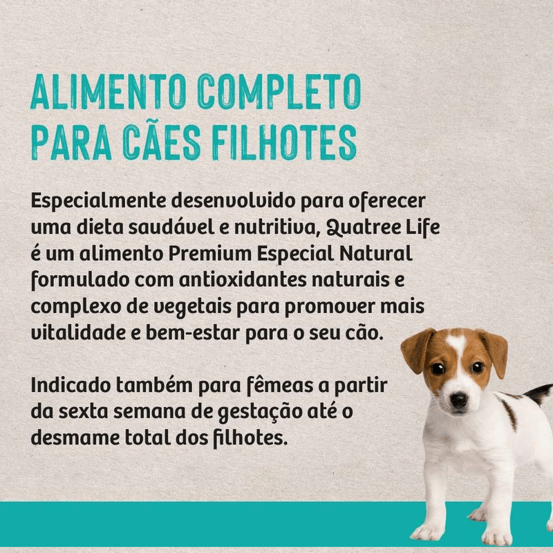 7898256301483 - foto 5.png