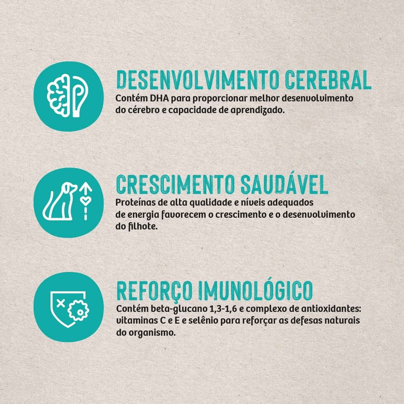 7898256301483 - foto 4.png