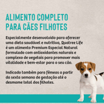 7898256301483 - foto 5.png