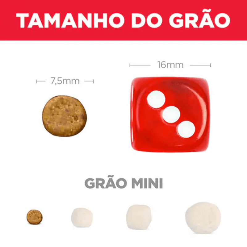 052742253305---foto-3.png