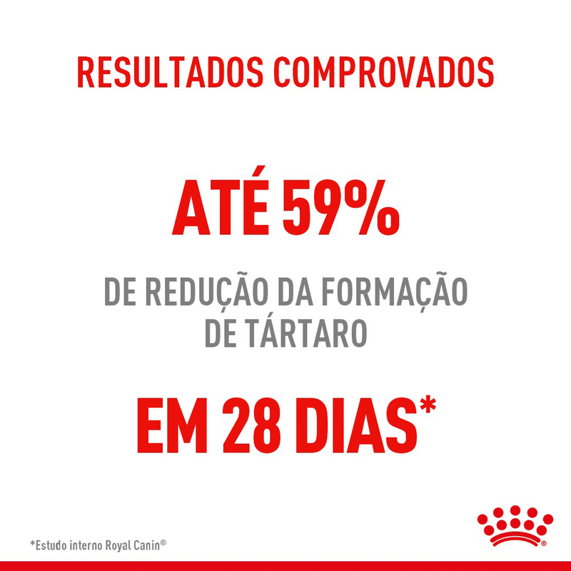 7908248301299---foto-2.png