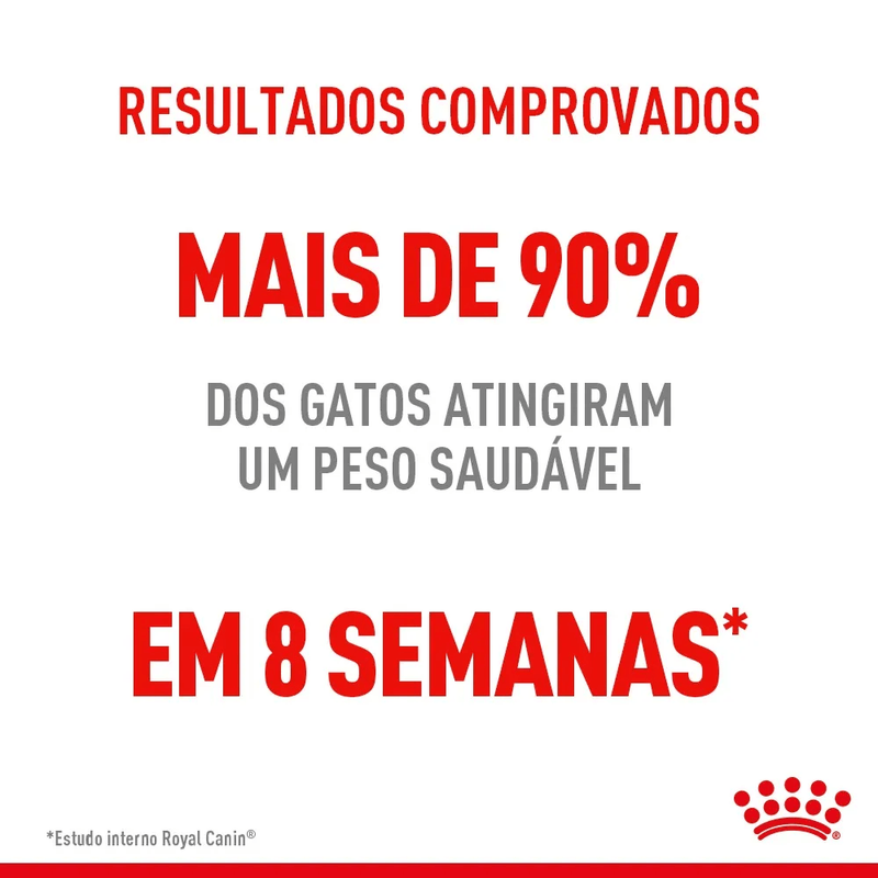 7908248301893 - foto 2.png