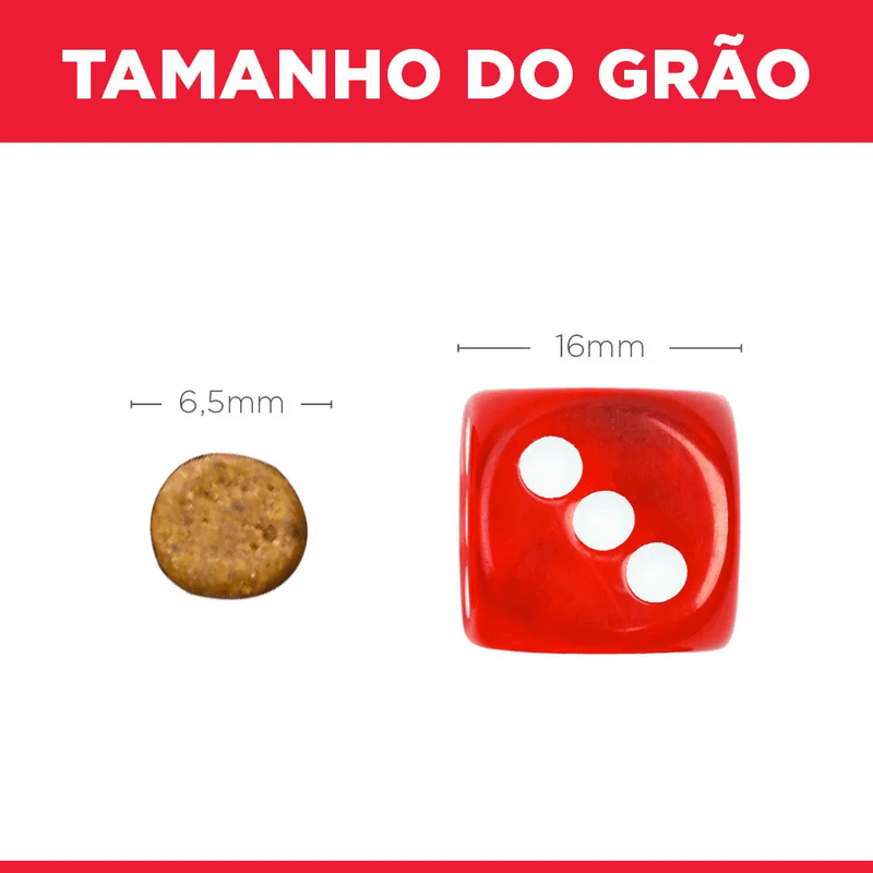 052742939209 - foto 4.png