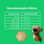 7898256302947 - foto 6.png