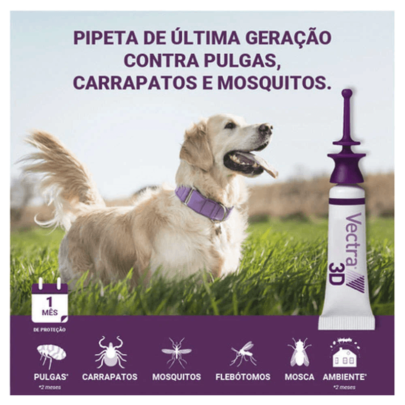 7898043434127 - foto 2.png