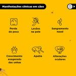 8713184142108---foto-4.png