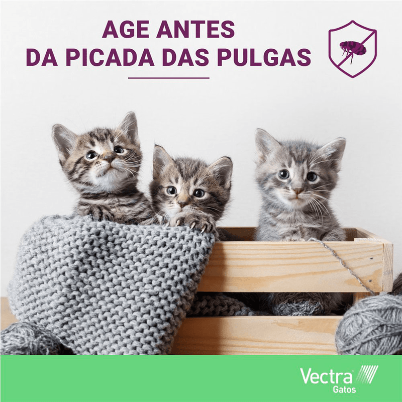 7898043433779---foto-3.png