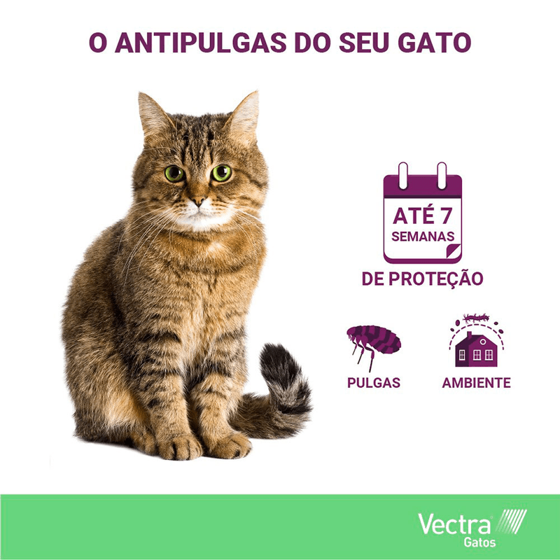 7898043433779---foto-1.png