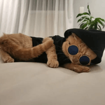 7891234789007 - foto 1.png