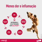5420036943624 - foto 4.png