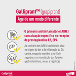 5420036943624---foto-7.png