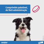 5420036929376 - foto 2.png