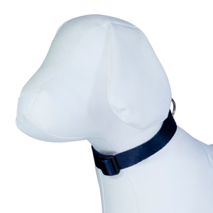 Coleira Deep Blue - G