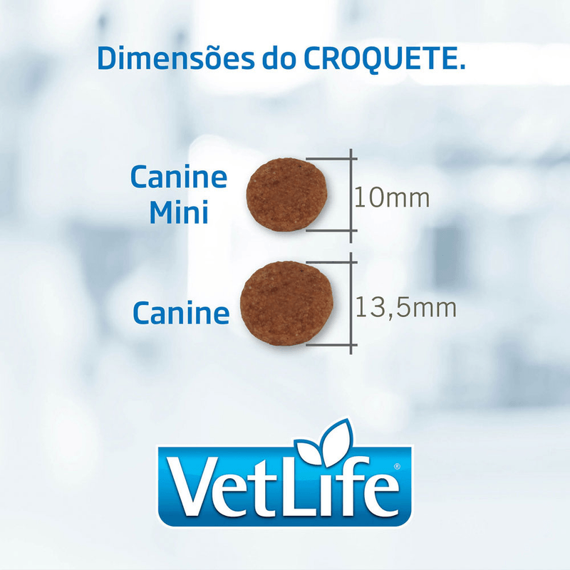 7898604431022---foto-2.png