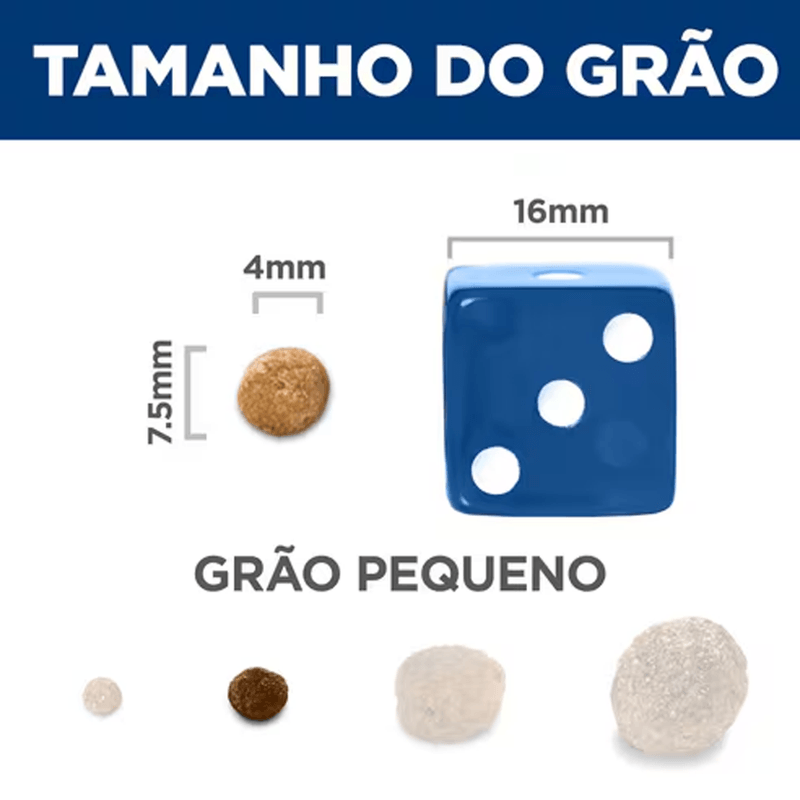 052742012032---foto-3.png