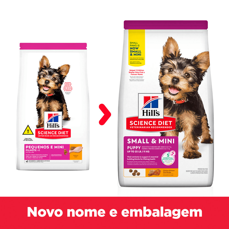 52742060255 - foto 2.png