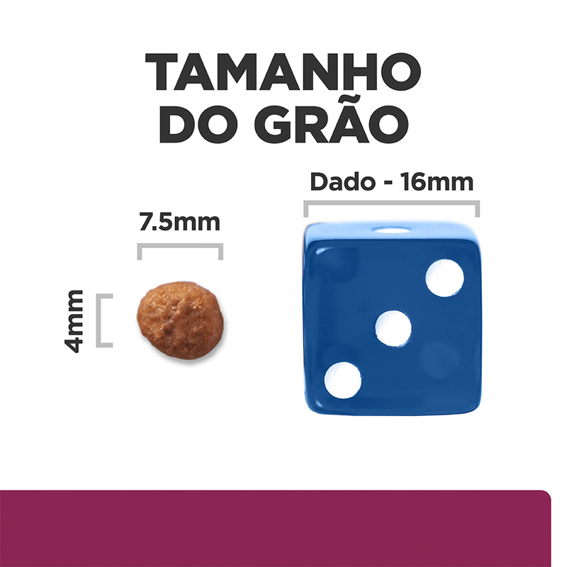 052742014296 - foto 10.png