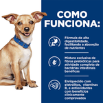 052742014296 - foto 7.png