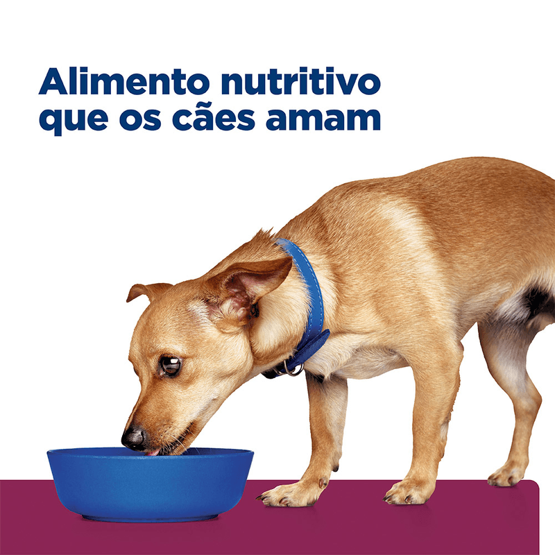 052742014296 - foto 6.png