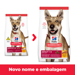 52742016016 - foto 1.png
