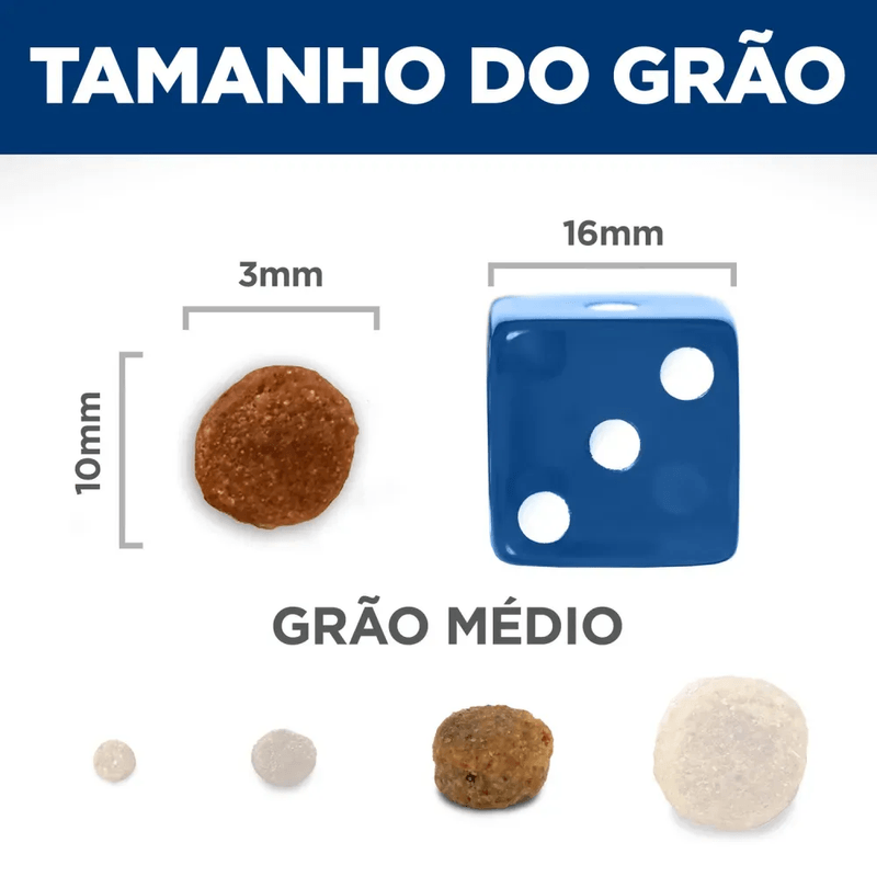 52742297200 - foto 6.png